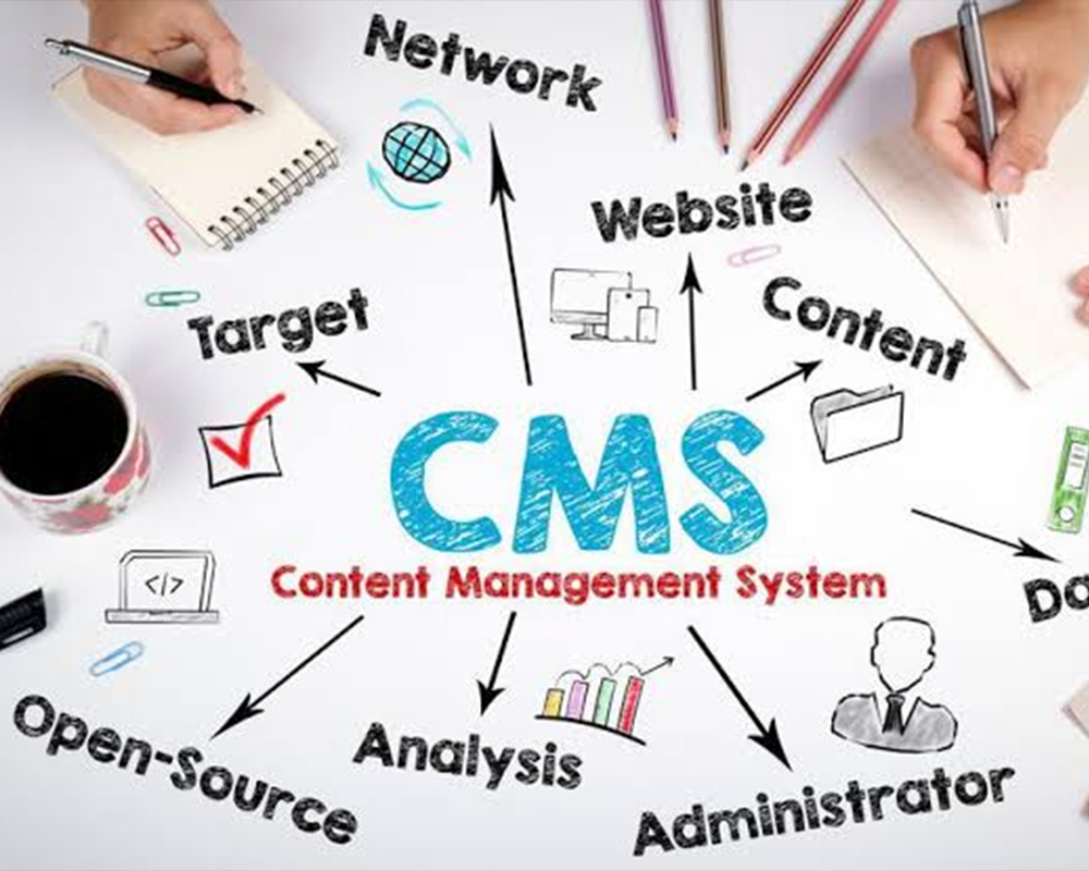 A Roundup of the 5 Best (CMS) Content Management Systems